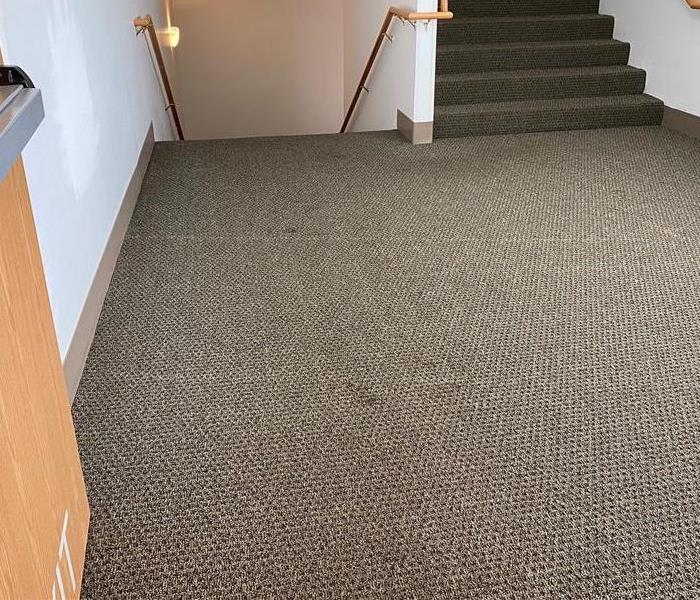 Carpet with high traffic area stained