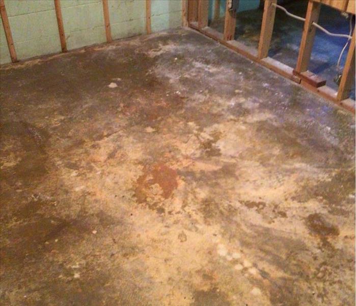 Restored basement, carpet and contents removed.