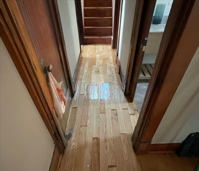 Standing water on wood flooring in hallway.